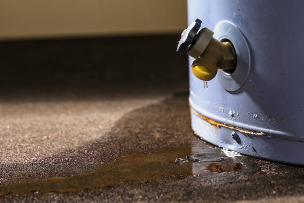 Best Water damage contractors near me  in Stonewall, LA