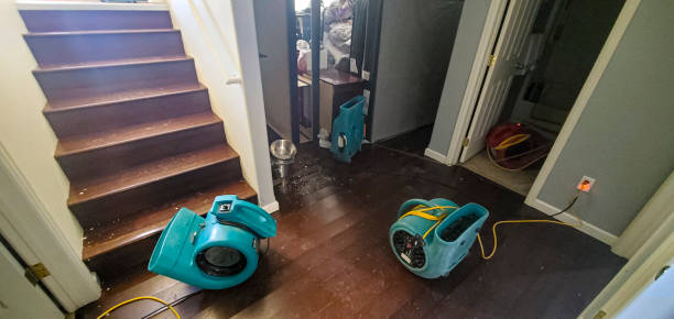 24/7 water damage repair in LA