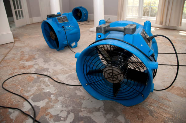 Best Water damage restoration company  in Stonewall, LA