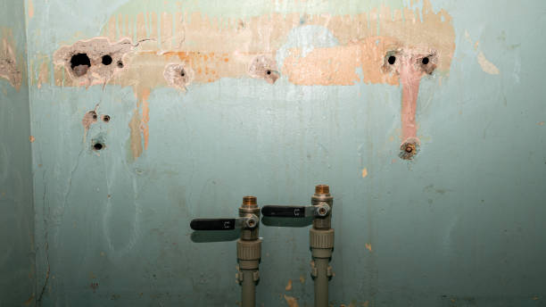 Best Basement water damage restoration  in Stonewall, LA
