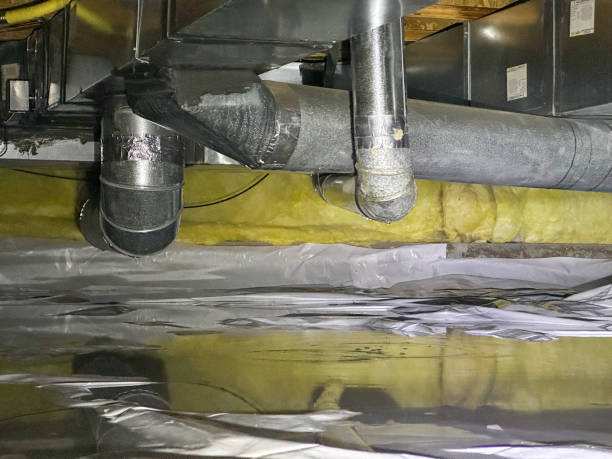 Best Carpet water damage restoration  in Stonewall, LA