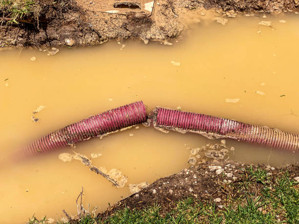 Best Flood damage cleanup  in Stonewall, LA
