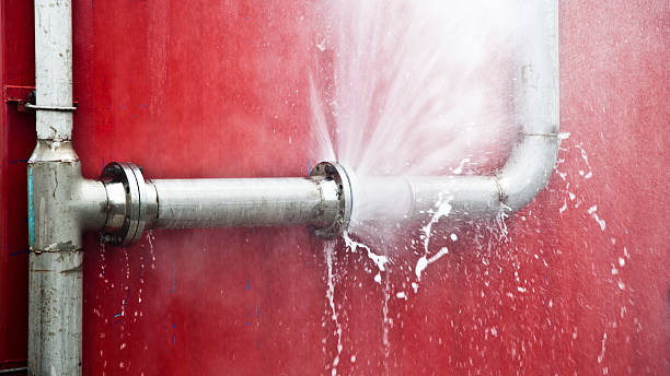 Best Water damage restoration process  in Stonewall, LA
